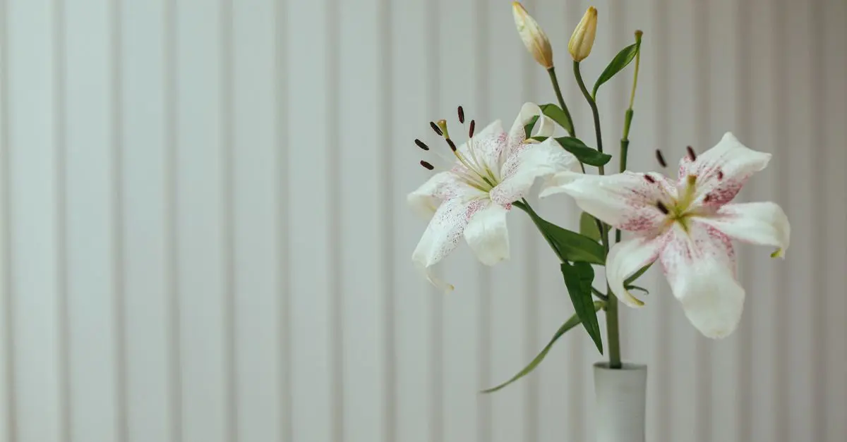 Le columbarium : pourquoi choisir cette option ?