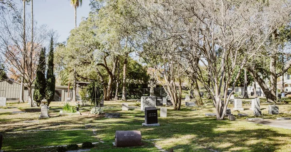 Inhumation verte : une pratique en croissance